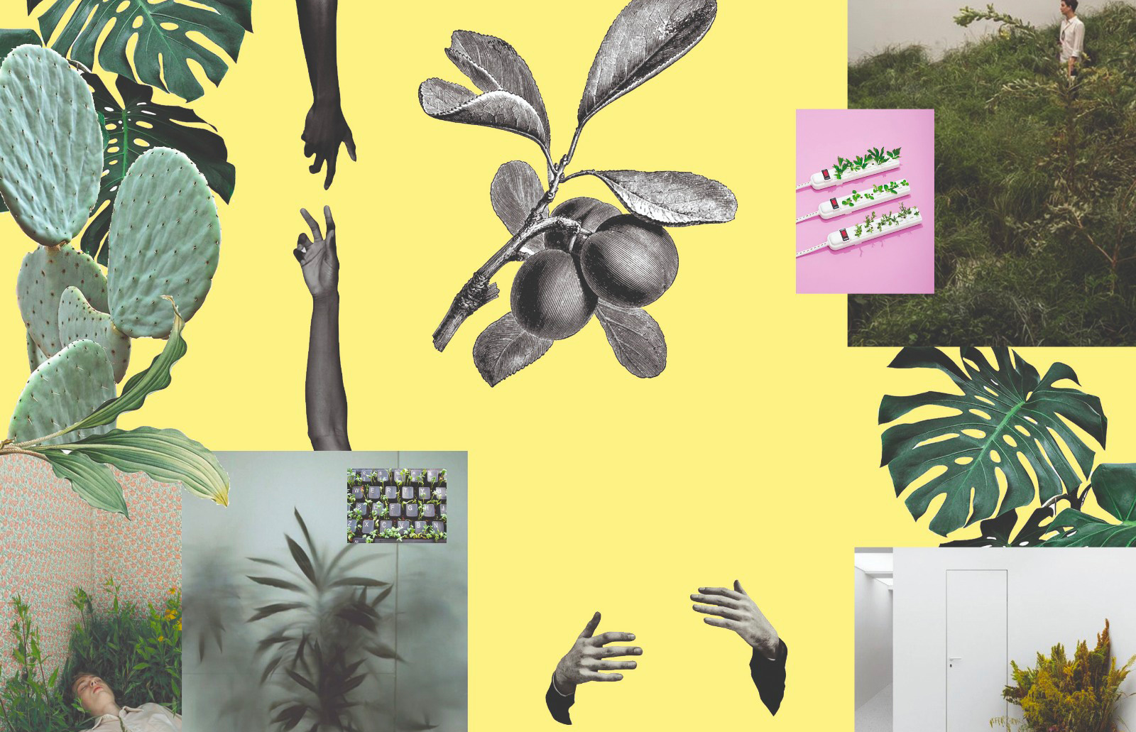 OpenAgri – Future Fields